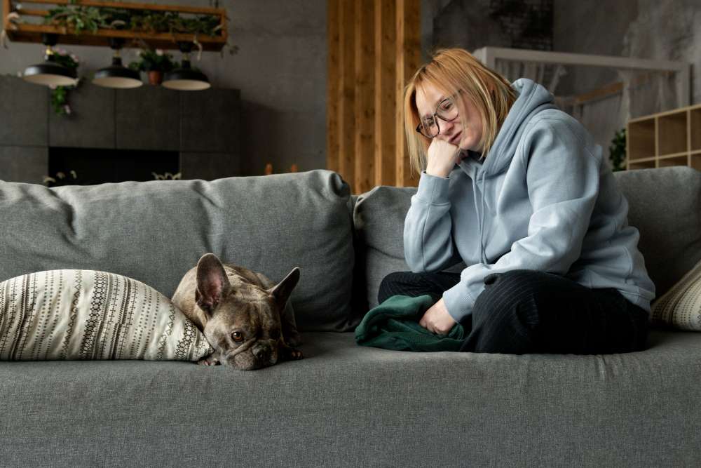 Can Cats Have Schizophrenia?