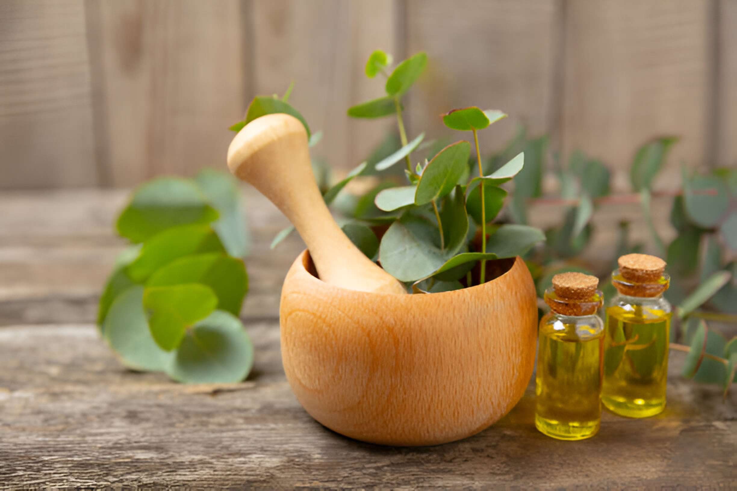 what is naturopathy